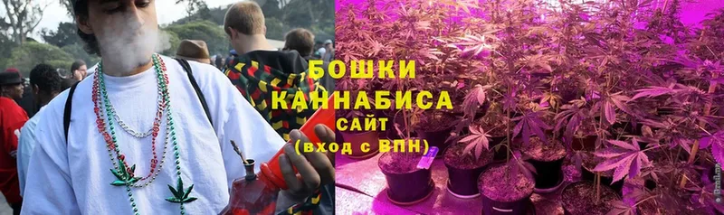 Канабис Amnesia  где купить наркоту  Боровск 